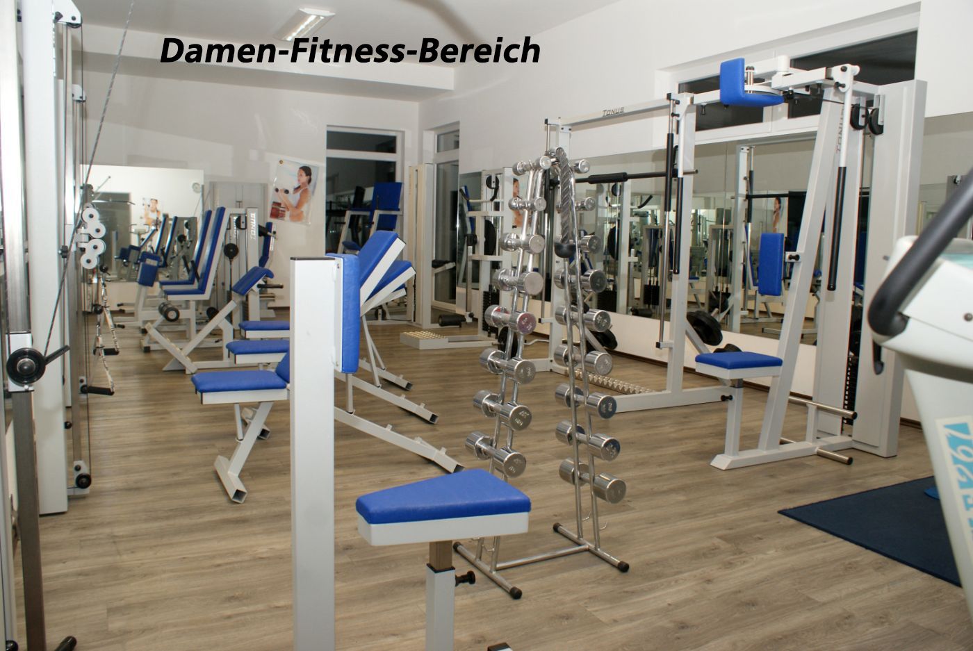 Damen Fitness